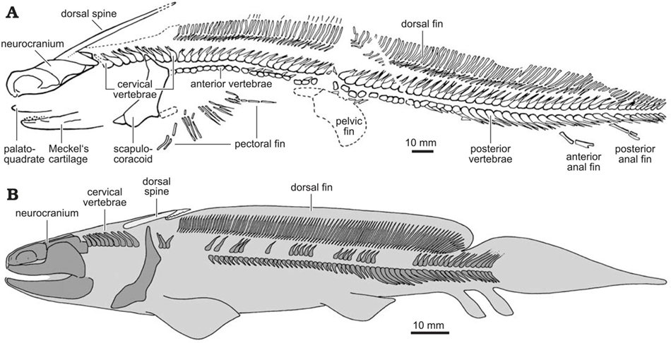 diagramsm