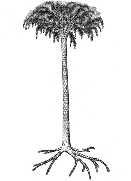 scaletreesm