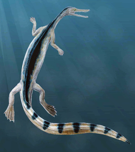 stereosternumartworksm